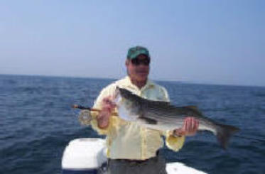 Big Stripers on Magnum Minnows