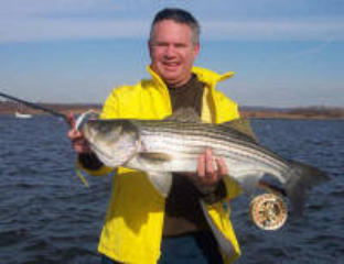 Big Stripers on Magnum Minnows