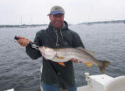 Weakfish love Magnum Minnow Flies