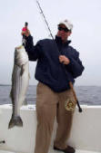 Big Striper on Bunker Fly
